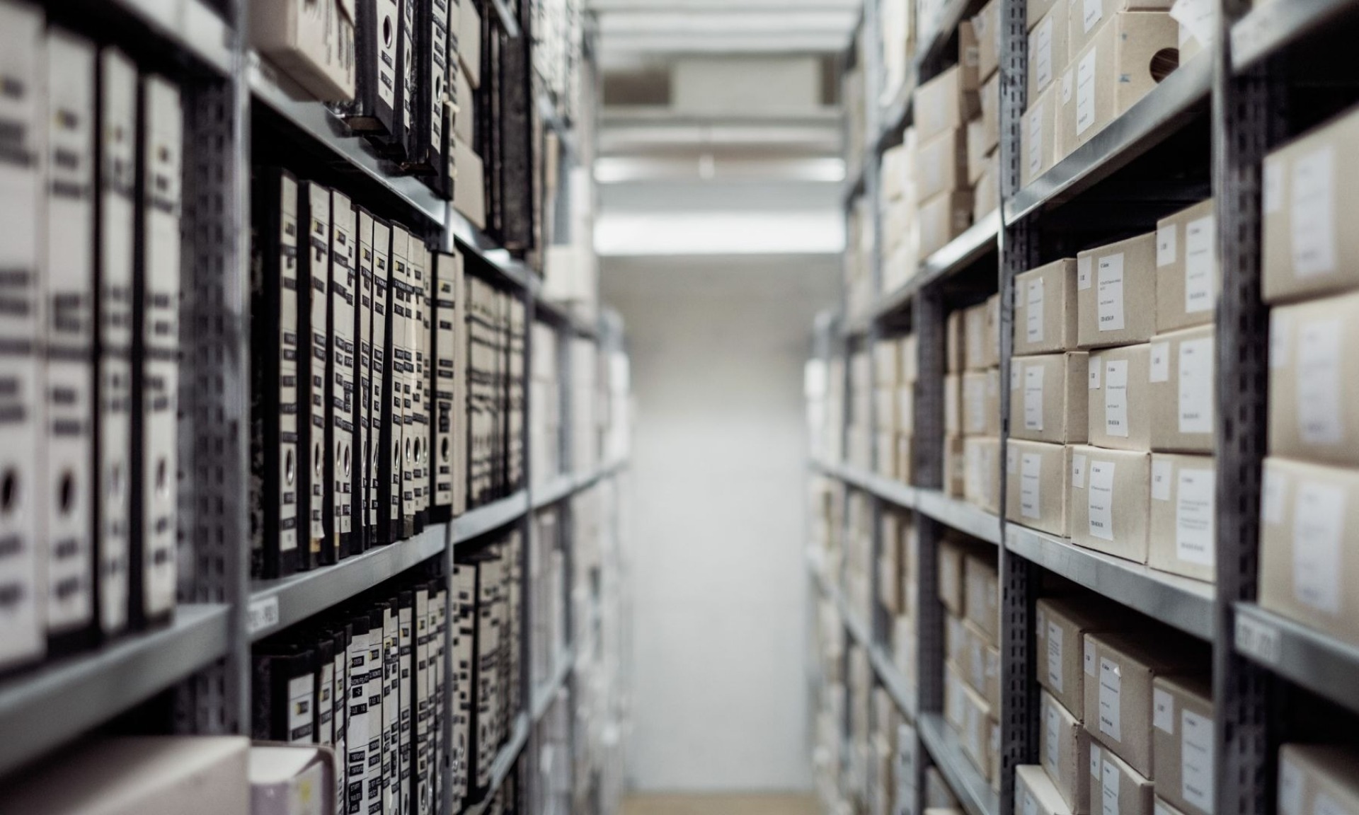 Servizi di catalogazione ed archiviazione dei documenti